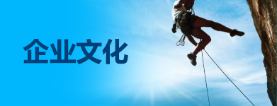 企业文化